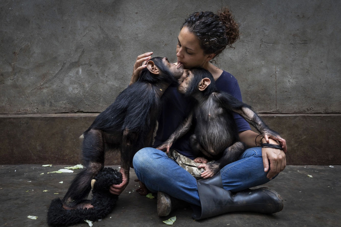 Реабилитационный центр для шимпанзе