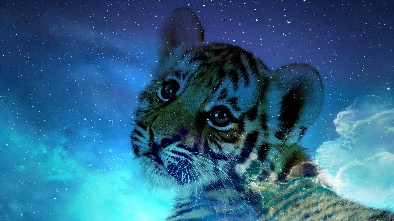 Черный (синий) водяной тигр — символ 2022 года
