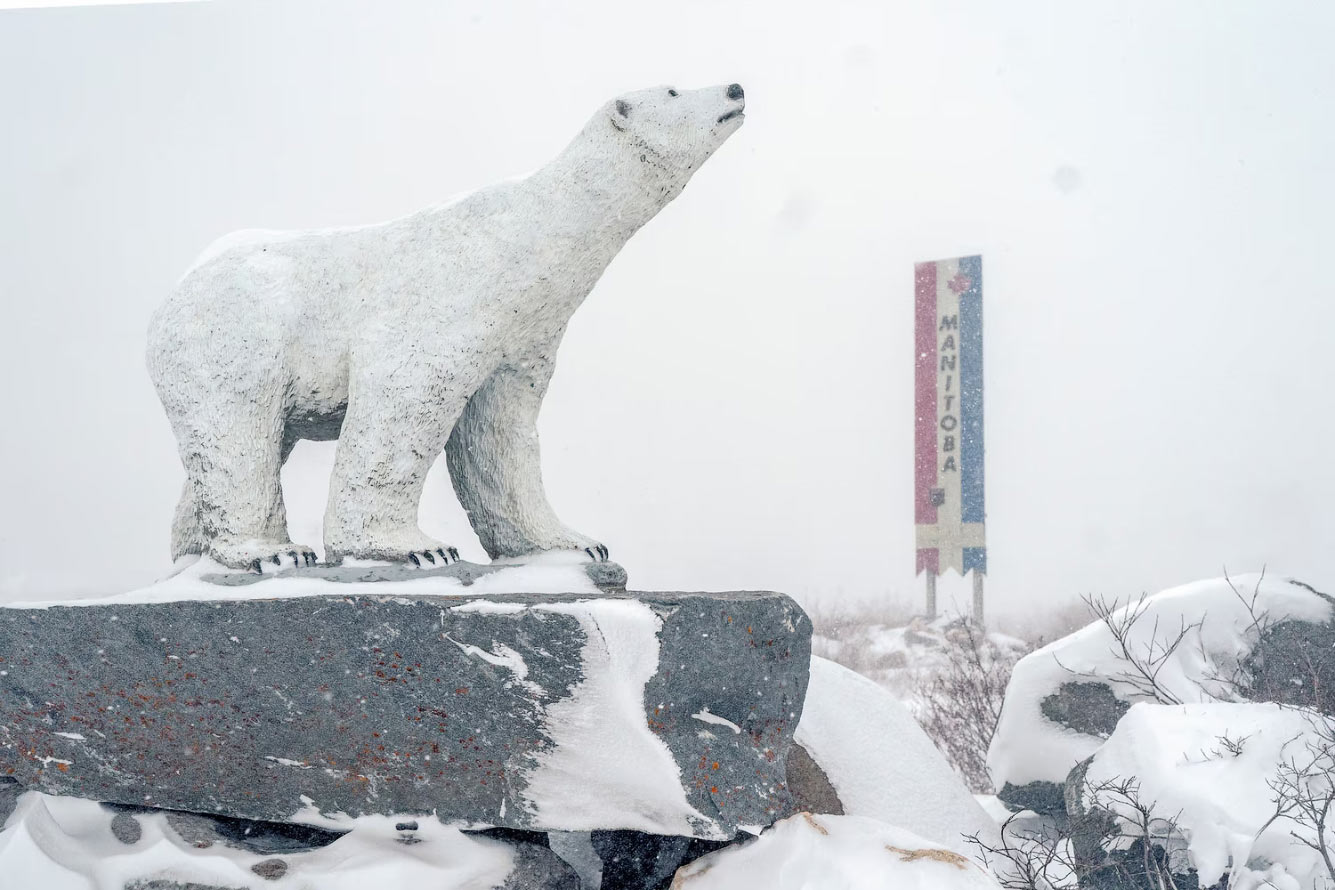 Статуя белого медведя