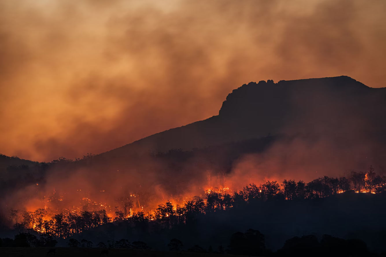 Пожары в Тасмании