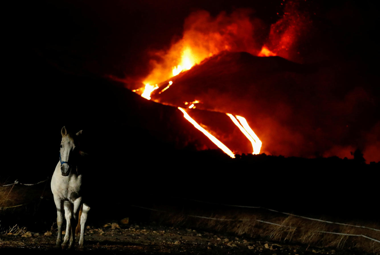Лошадь и лава из вулкана