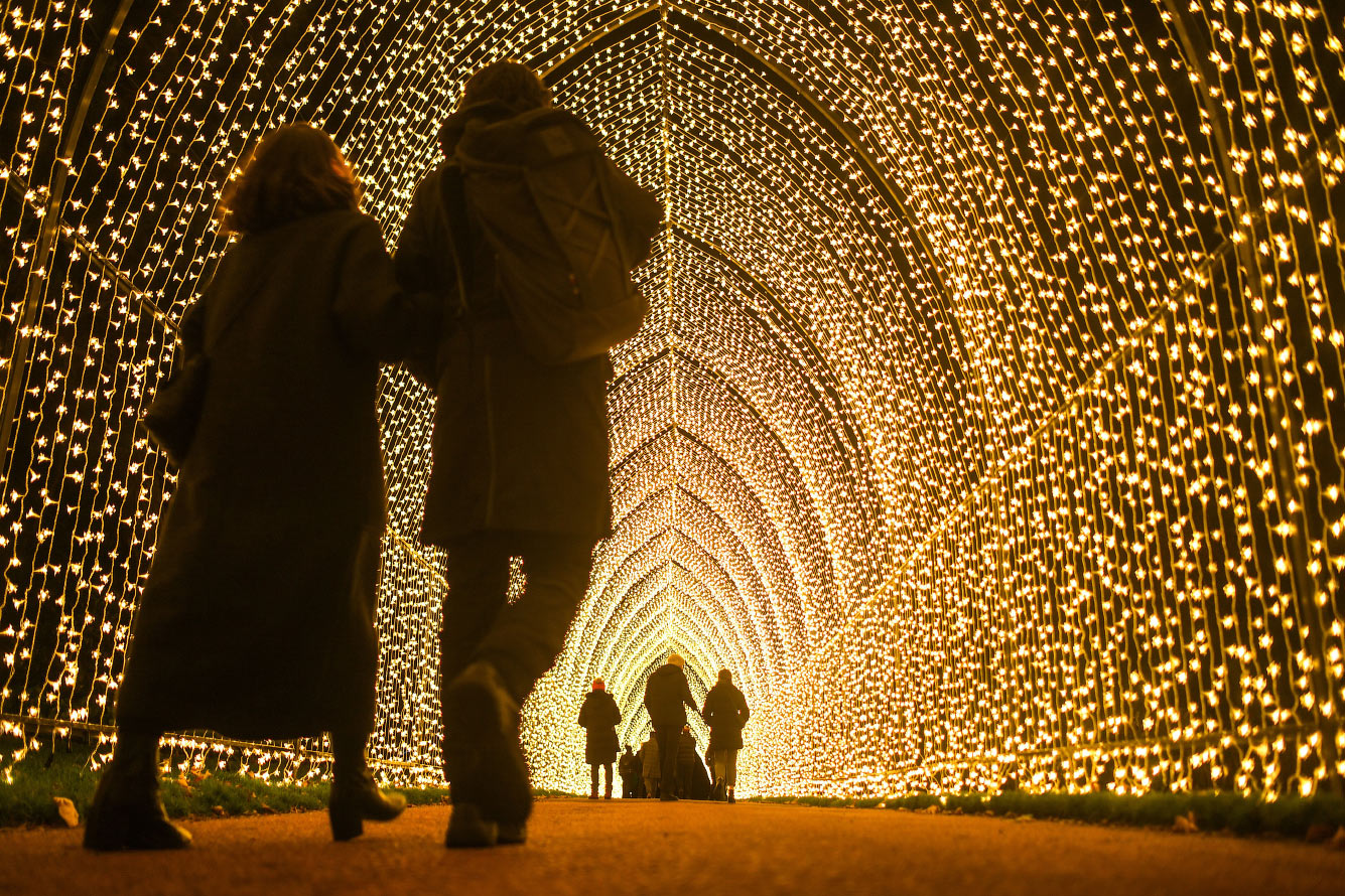 Световой туннель в Королевском ботаническом саду в Эдинбурге
