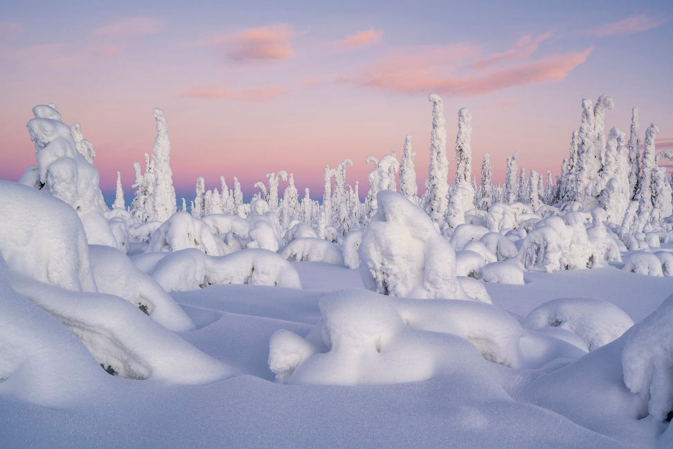 Зимнее утро. Северная Лапландия, Швеция