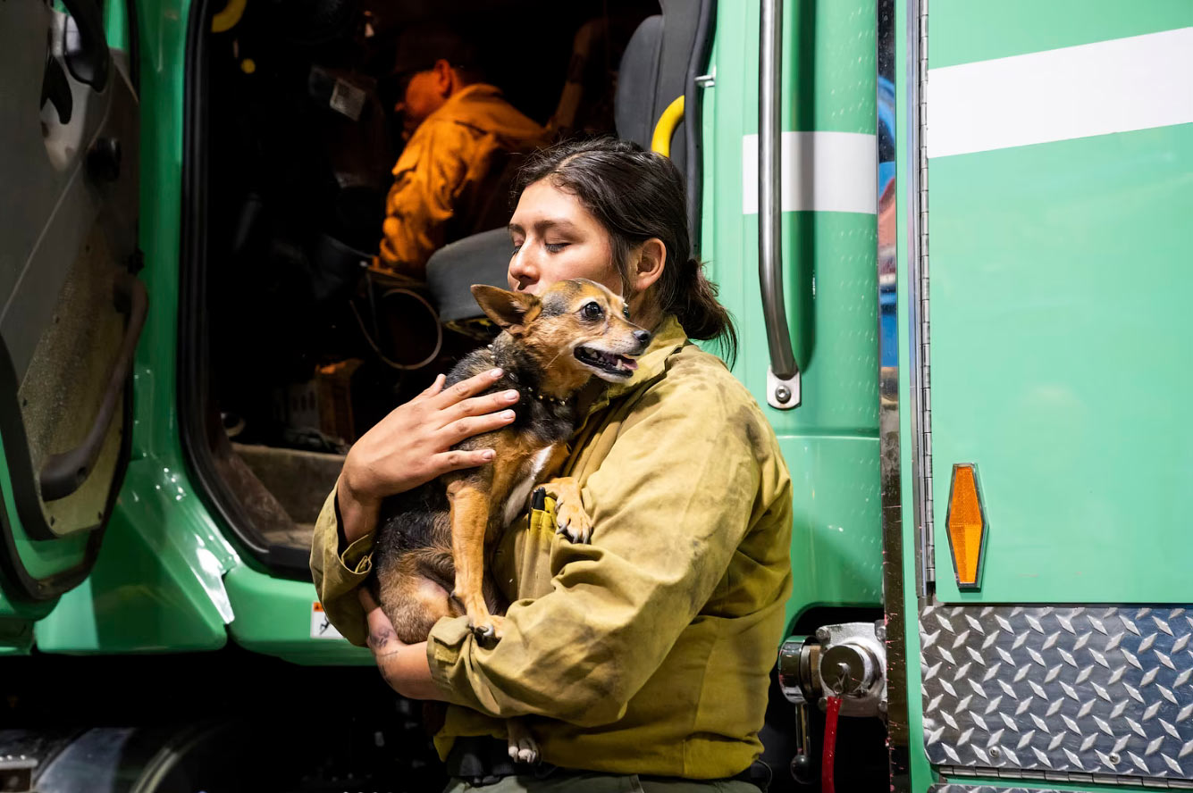 Пожарный спасла собаку