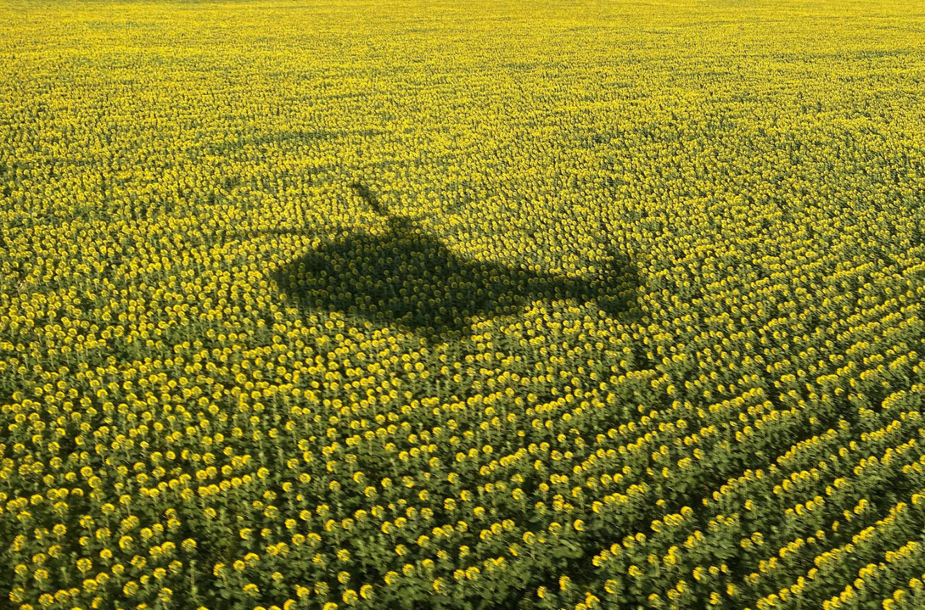 Тень вертолета над полем под Винницей