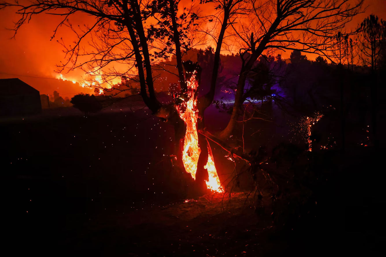 Лесной пожар в Видемонте, Селорику-да-Бейра, Португалия.