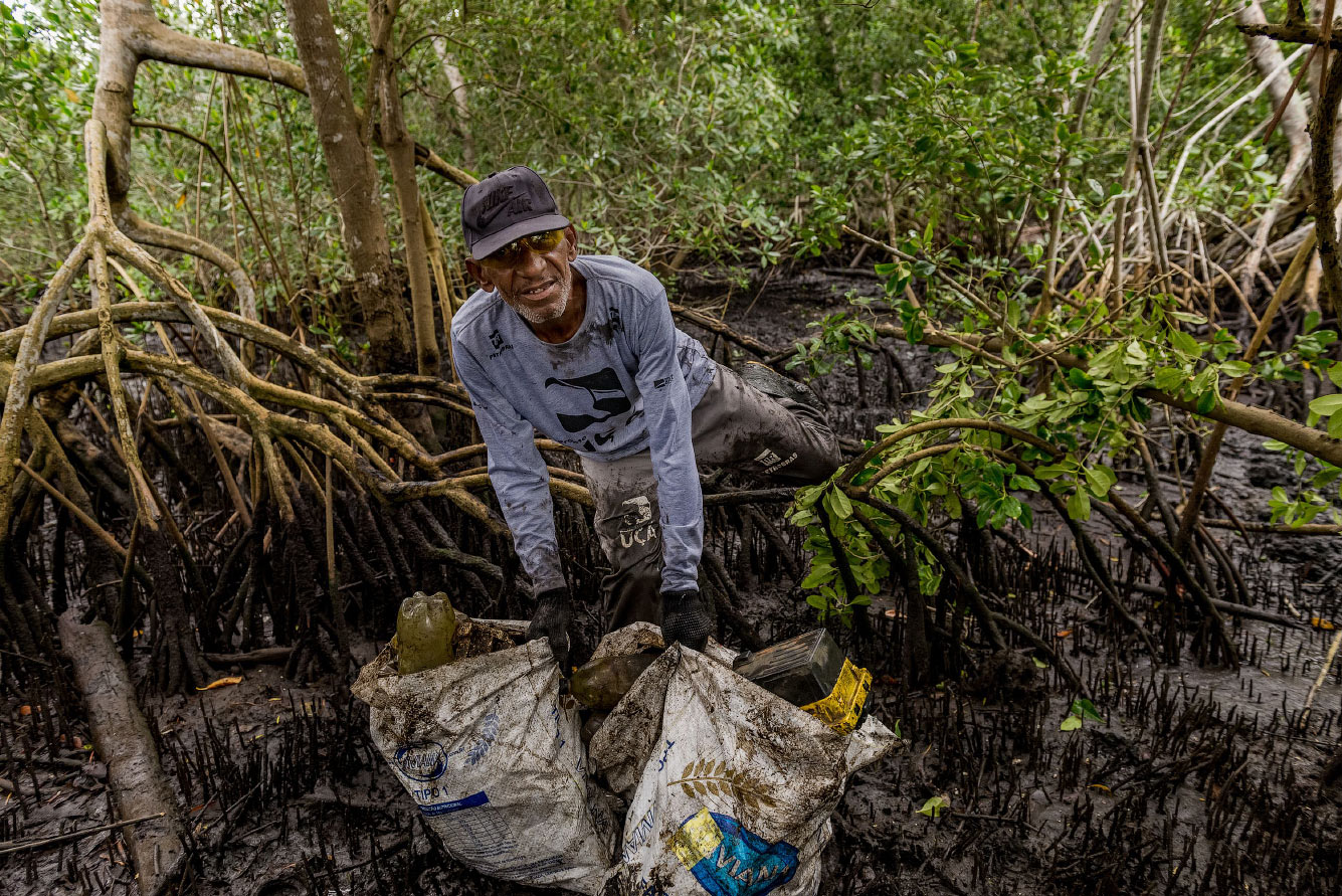Очистка мангровых зарослей в заливе Гуанабара от мусора