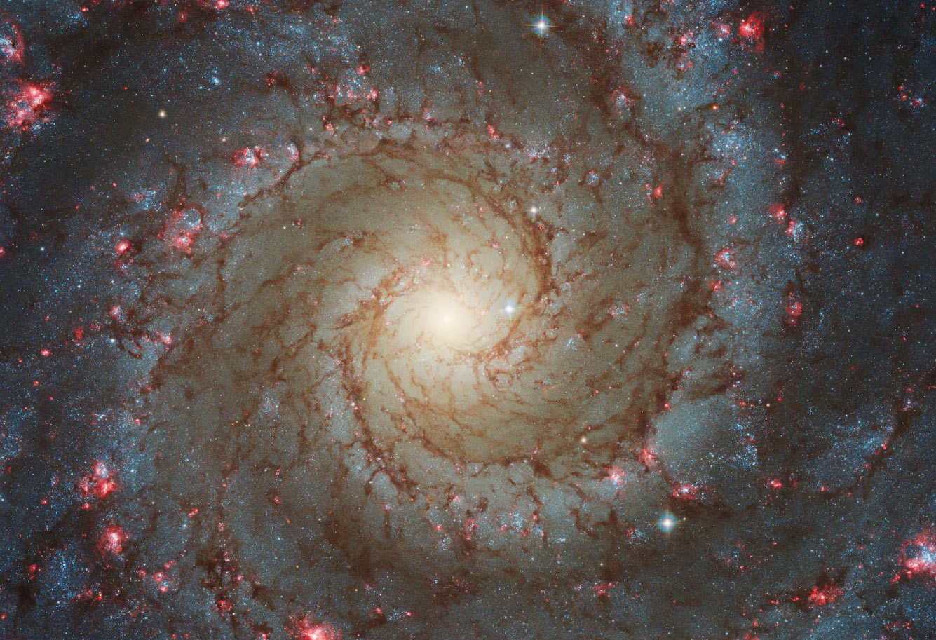 Спиральная галактика M74 в созвездии Рыб