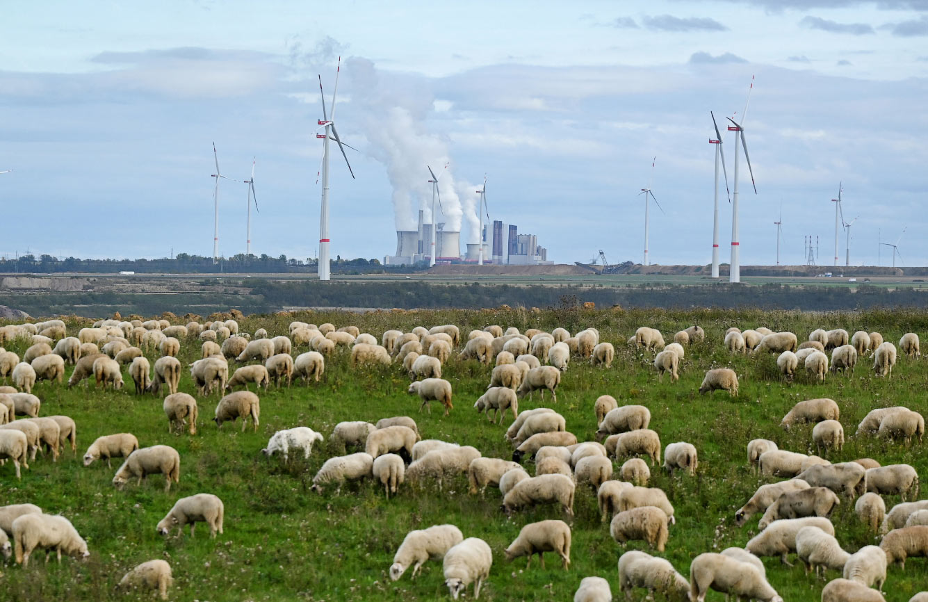 Ветряки, угольная электростанция и овечки