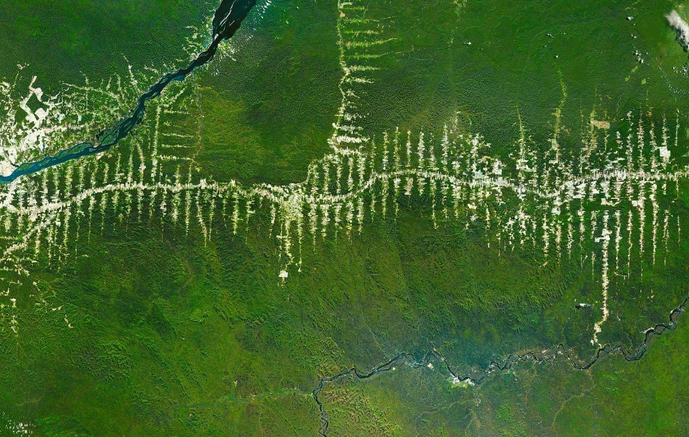 Уничтожение и вырубка тропических лесов Амазонки в Бразилии