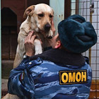 Один день из жизни ОМОНА img