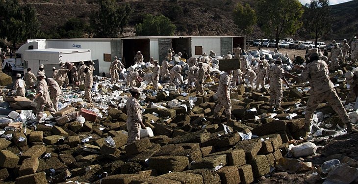 В Мексике сожгли 134 тонн марихуаны