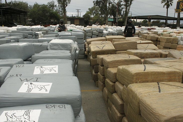 В Мексике сожгли 134 тонн марихуаны